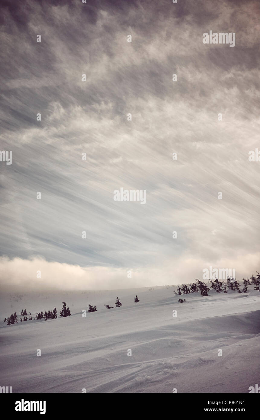 Paesaggio montano invernale, tonificazione del colore applicato. Foto Stock