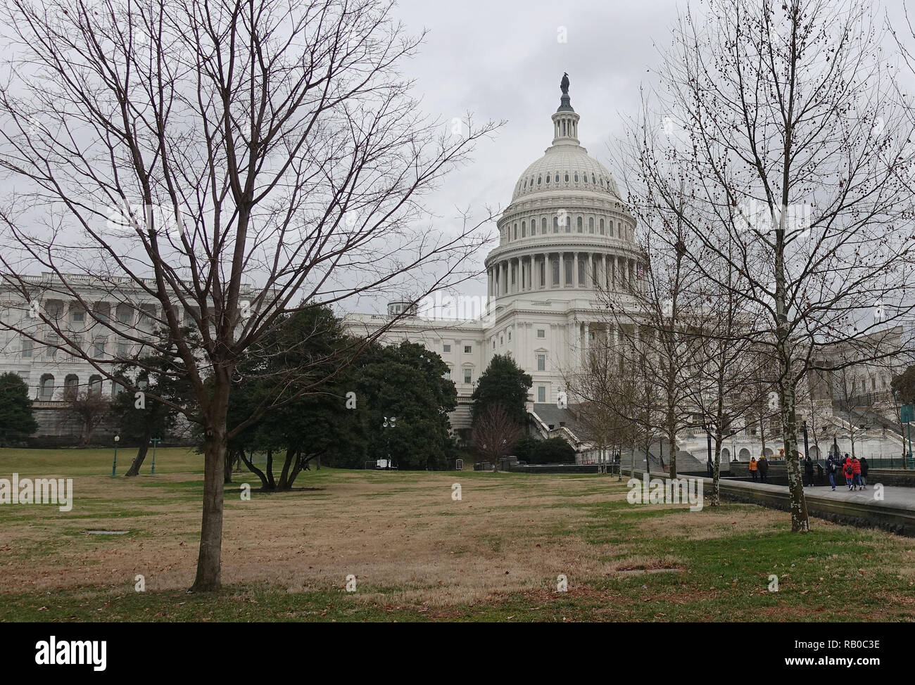 Washington, Stati Uniti d'America. Gen 5, 2019. Foto scattata il 5 gennaio, 2019 mostra il Campidoglio di Washington, DC, Stati Uniti. Stati Uniti Presidente Donald Trump è esigente di oltre 5 miliardi di dollari in sicurezza alle frontiere per consegnare la sua firma campagna promessa di costruire un muro lungo gli Stati Uniti sud del confine con il Messico, che ha fermamente respinto dai democratici. Il loro disaccordo ha portato a un bilancio impasse e di una parziale chiusura del governo, che entra nel suo quindicesimo giorno sabato. Credito: Liu Jie/Xinhua/Alamy Live News Foto Stock