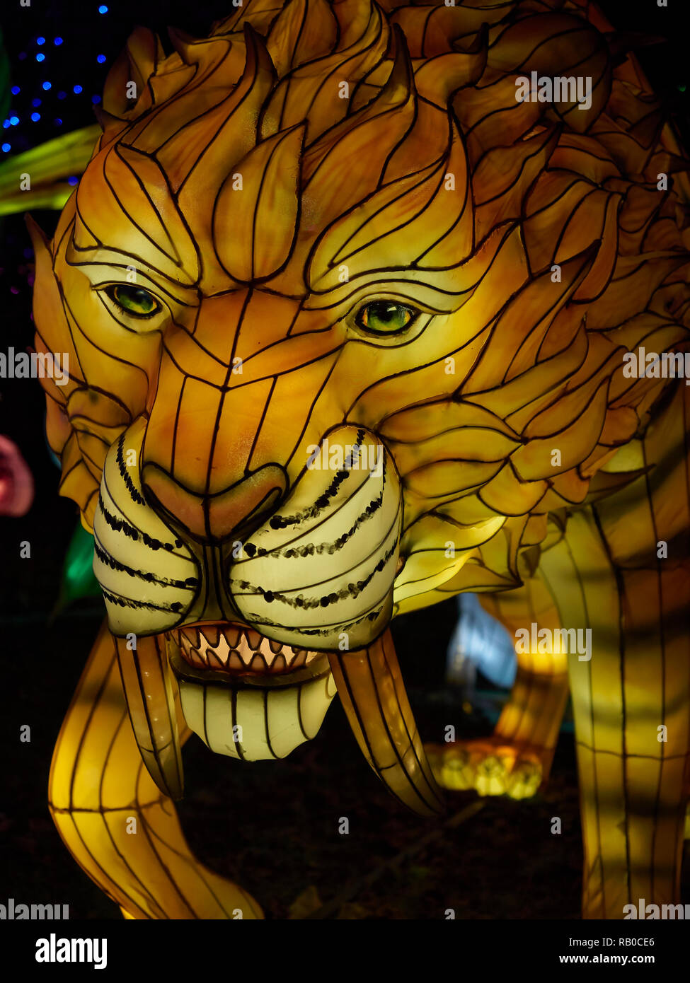 Lo Zoo di Edimburgo, Edimburgo, Scozia, UK, 5 gennaio 2019, lanterne gigante della Cina la visualizzazione di creature mitiche, leggende e animali in tutto lo zoo durante il mese di gennaio 2019. Sabre Tigre dentata. Foto Stock