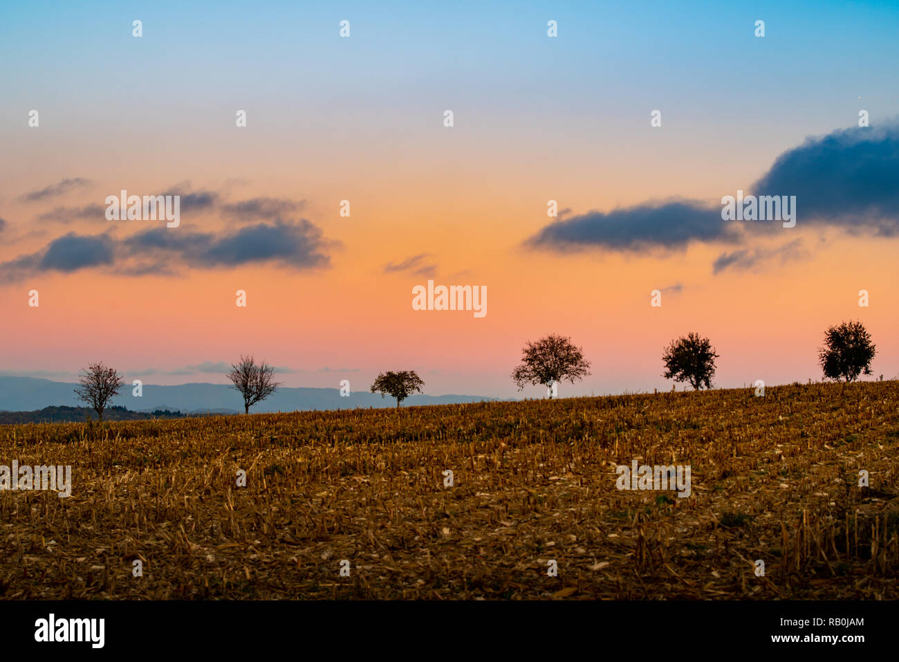 Tramonto sulla Tüllinger vicino a Lörrach / Germania Foto Stock