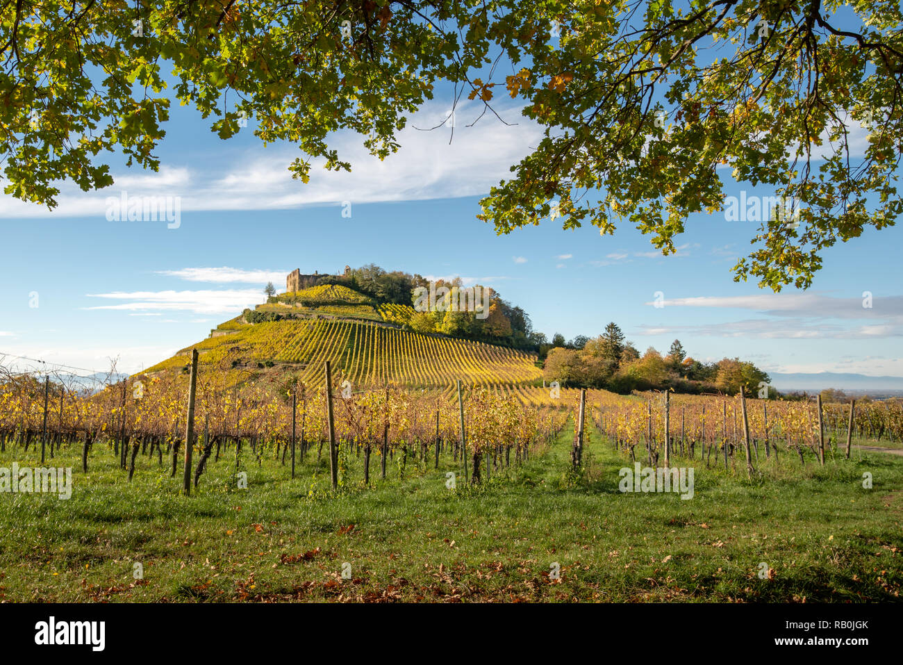 Rovina 'Staufen' storica rovina di un vecchio castello in Germania del sud Foto Stock