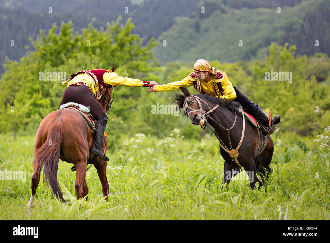 Il kazako uomini facendo il tradizionale braccio nomadi wrestling sul loro cavallo, in Kazakistan. Foto Stock