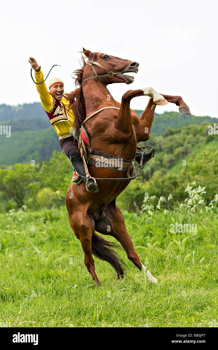 Cavaliere kazako in costumi nazionali che ha allevato il suo cavallo ad Almaty, Kazakhstan. Foto Stock