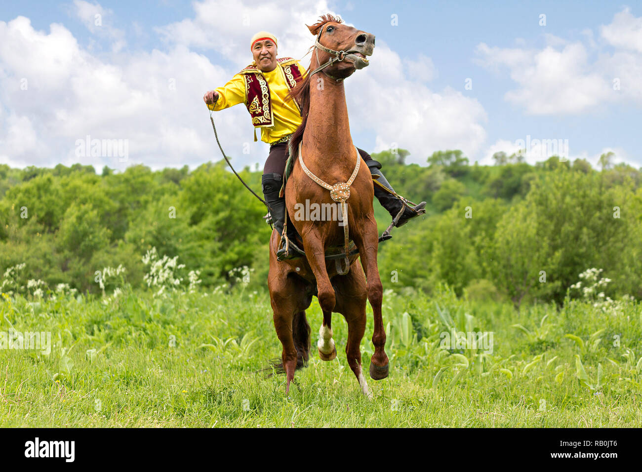 Il kazako uomo in costumi nazionali giostre e cerca di ottenere il suo cavallo allevato fino, ad Almaty in Kazakistan. Foto Stock
