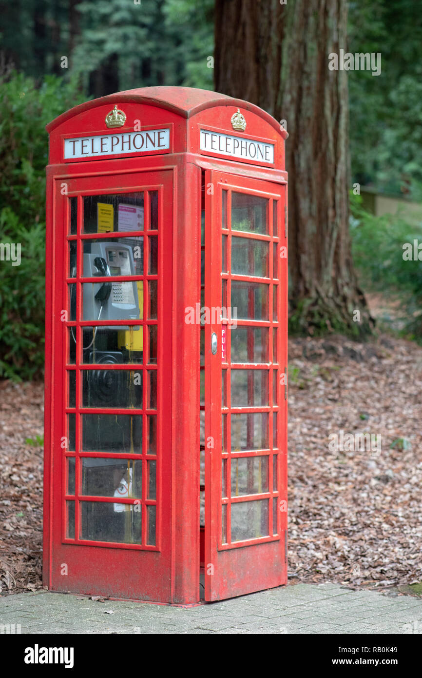 Vecchio rosso British telefono casella nella foresta a Longleat WILTSHIRE REGNO UNITO, aprire lo sportello Foto Stock