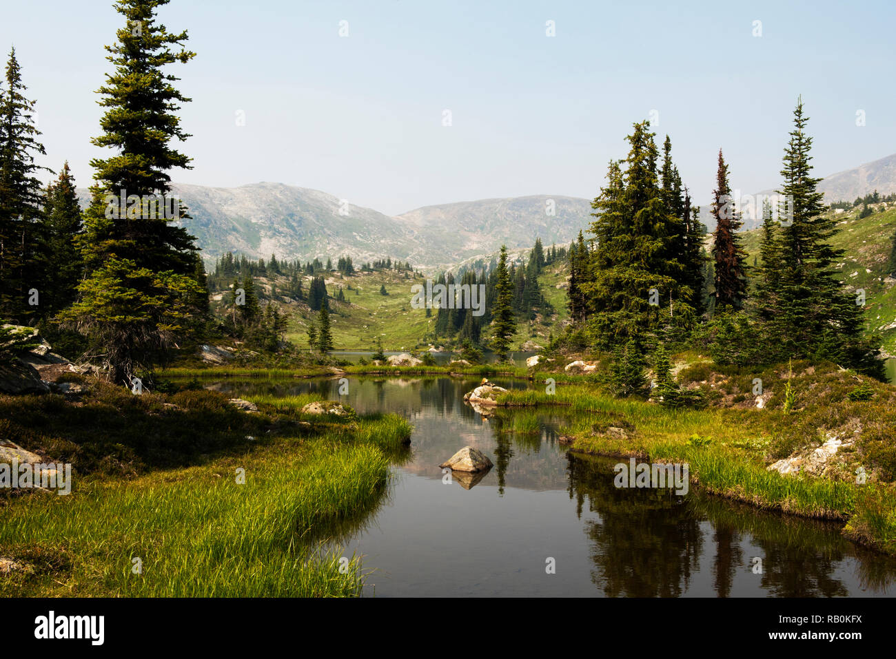 In estate i prati alpini in cima della montagna trofeo nel Grey Parco Provinciale, British Columbia, Canada Foto Stock