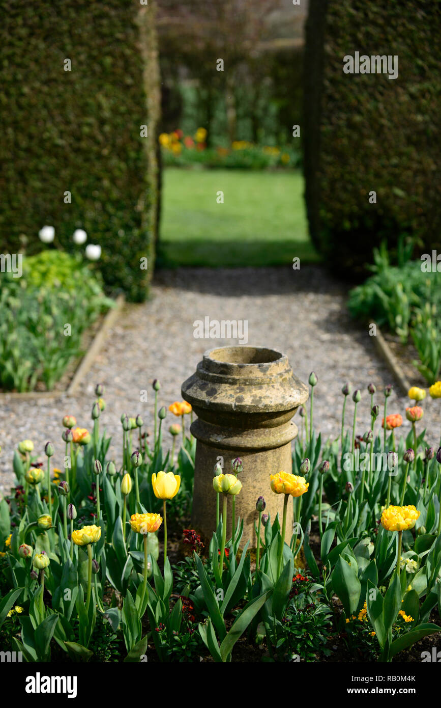 Tulipa,tulip,tulipani,fiore,fiori,punto focale,Garden includono,design,recuperato,recuperare,comignolo,Molla,l'ingresso,dividere,giardino,RM Floral Foto Stock