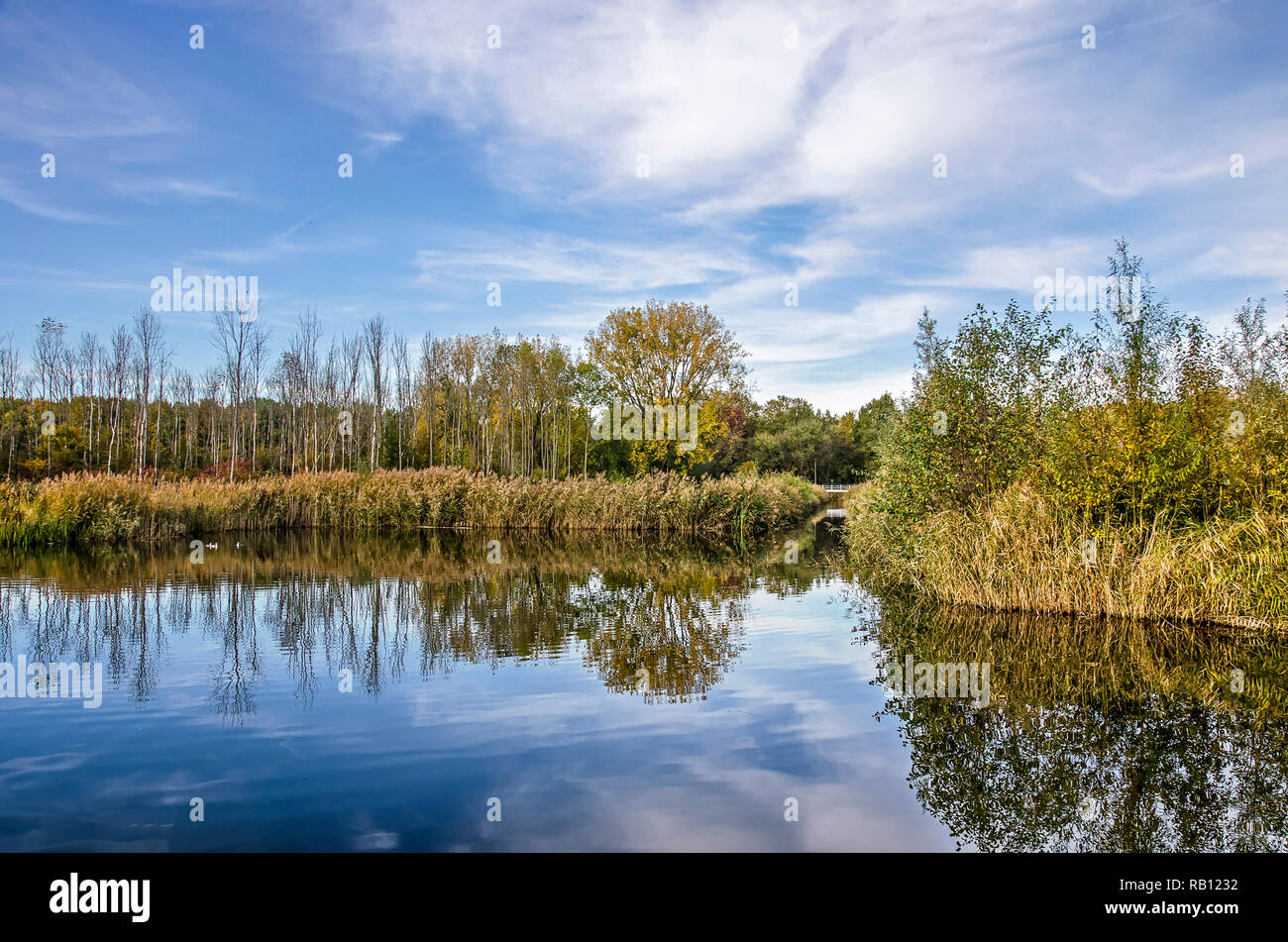 Alberi e arbusti, canne e il cielo blu con nuvole scaterred riflettono nell'acqua di uno stagno in Zuidelijk Randpark (confine meridionale del Parco) in Rotterd Foto Stock