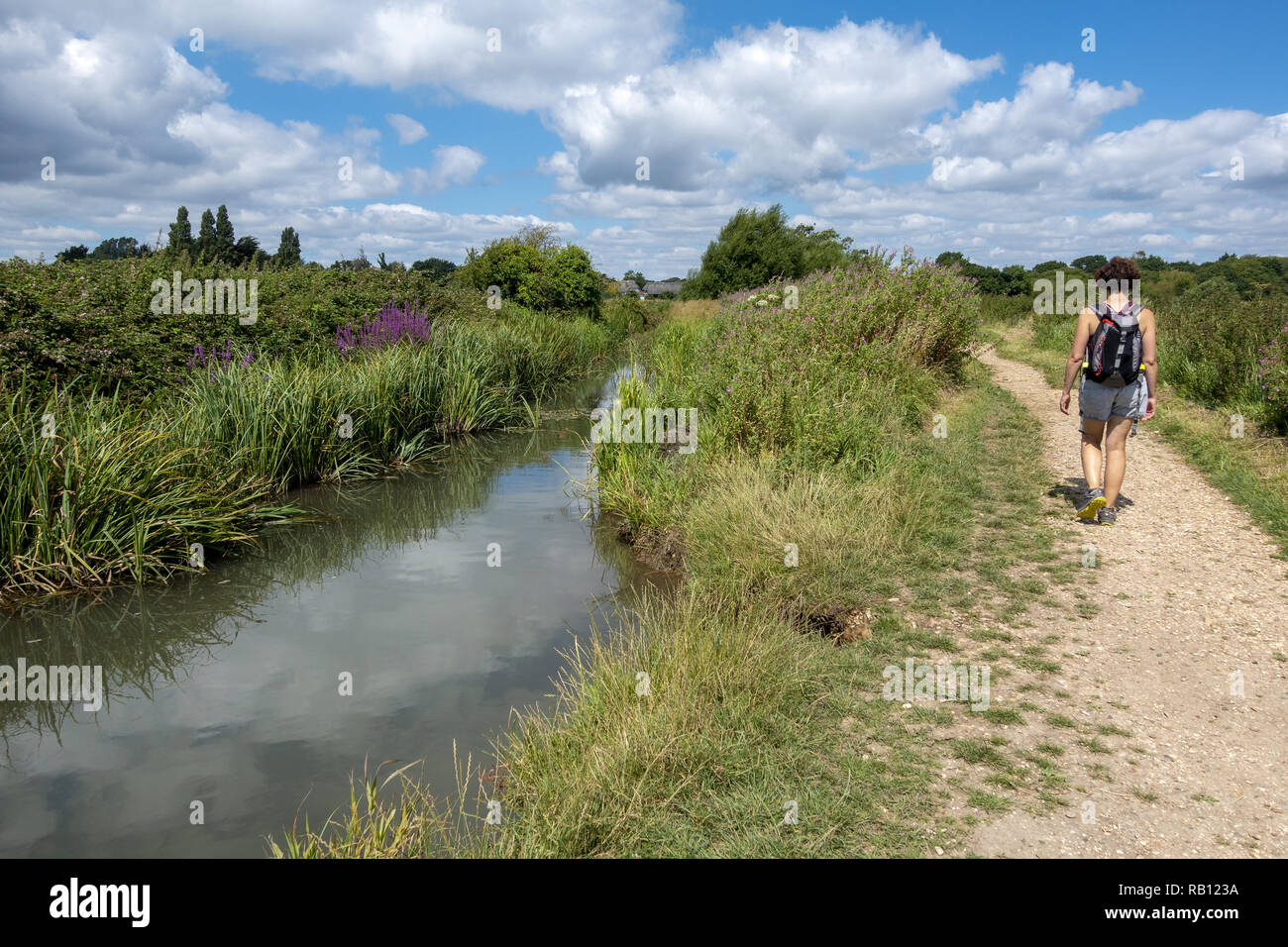 Rambler a piedi su Titchfield Haven vicino al fiume Mion vicino a Stubbington, Hampshire, Inghilterra, Regno Unito Foto Stock