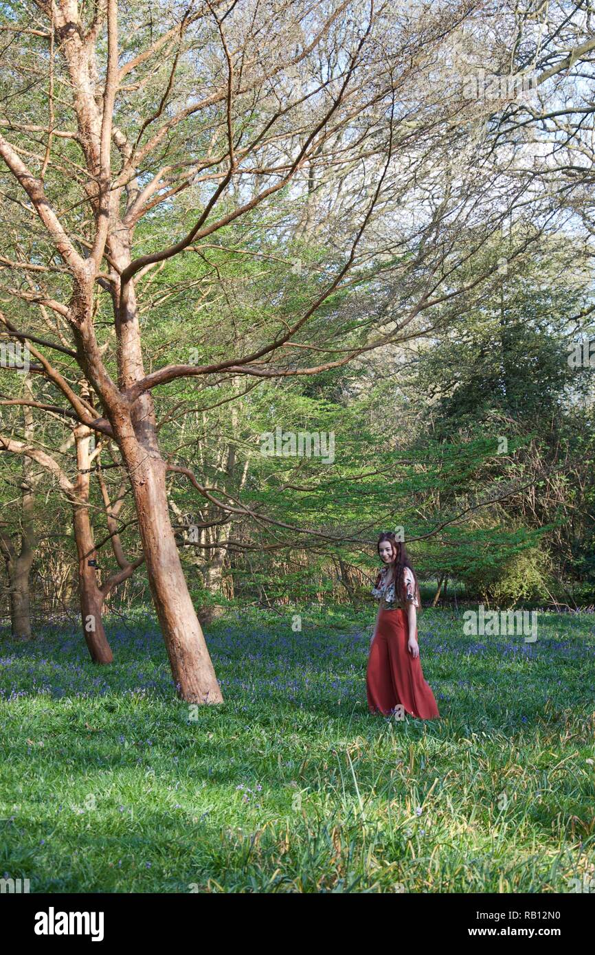 Un vestiti alla moda giovane donna con lunghi capelli bruna e razzi rossi ride in un legno. Il bosco inglese è tappezzato con un mare di bluebells e Foto Stock