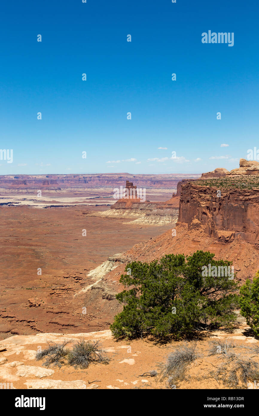 Il Parco Nazionale di Canyonlands nel sudest dell'Utah è noto per il suo splendido paesaggio del deserto scavate dal fiume Colorado. Island in the Sky è un enorme Foto Stock