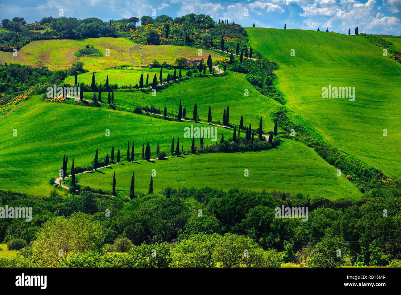 Stupendo viaggio e fotografia destinazione in Toscana. Avvolgimento famosa strada rurale vicino a Montepulciano, Toscana, Italia, Europa Foto Stock