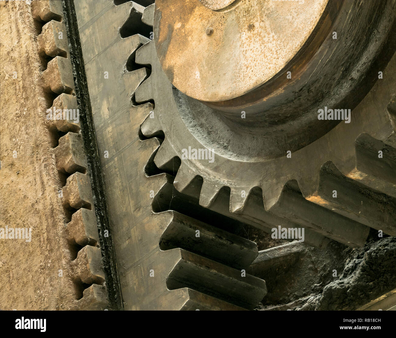 i denti delle ruote a coccodone grandi si fondono Foto Stock