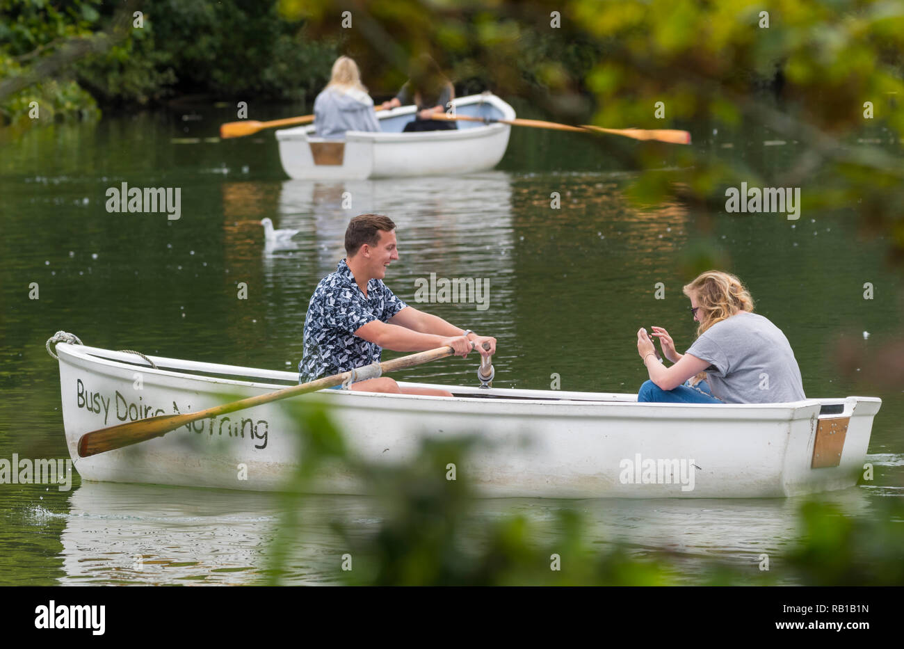 Una giovane coppia in una barca a remi in una barca sul lago in estate, nel Lago Swanbourne, Arundel, West Sussex, in Inghilterra, Regno Unito. Foto Stock