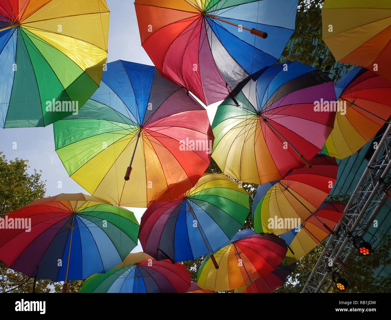 Orgoglio palloncini arcobaleno contro un albero verde Foto stock - Alamy