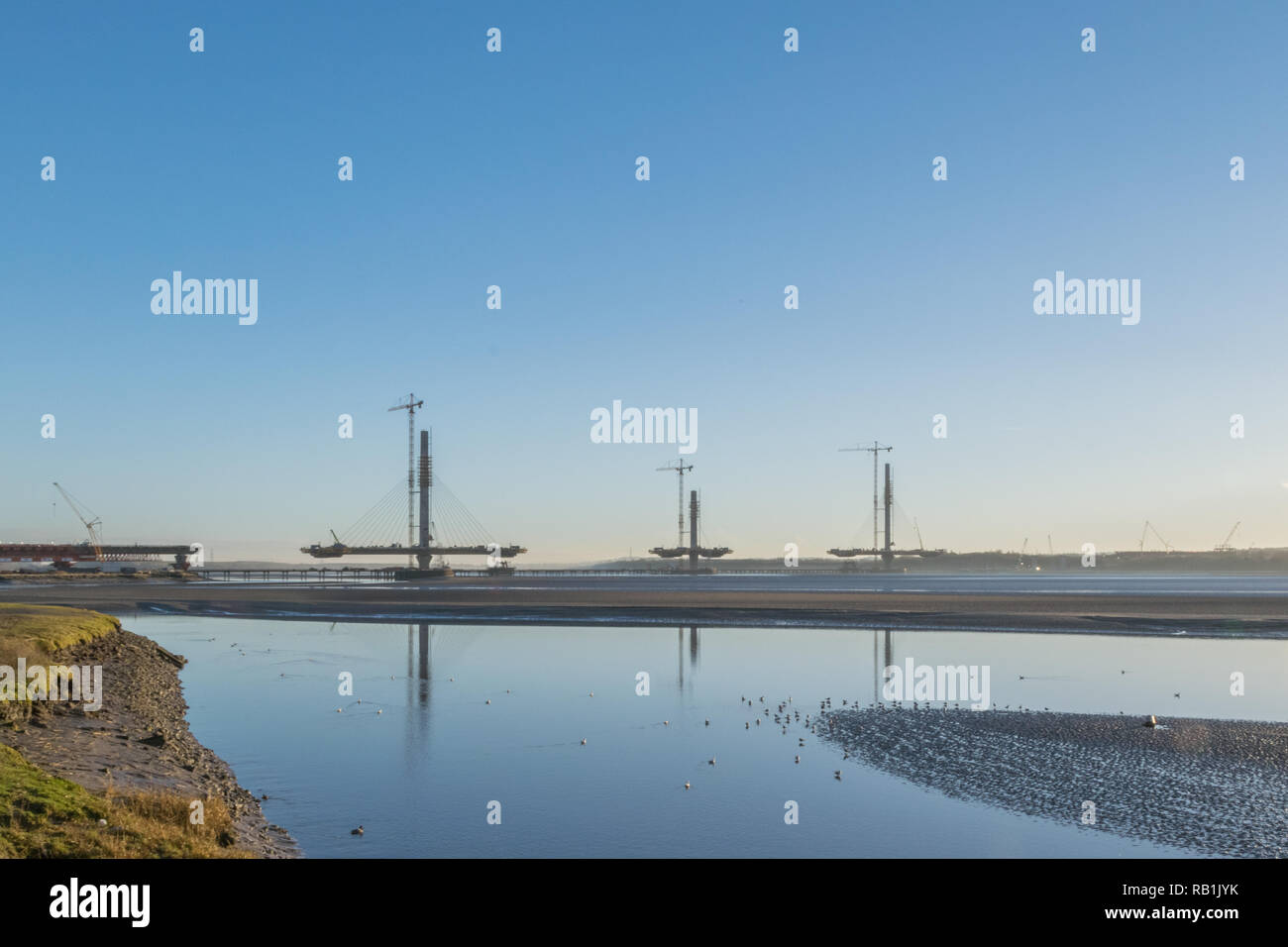 Fase di costruzione di 600 milioni di Lira Mersey ponte Gateway durante il mese di gennaio 2017 prima della sua apertura nel mese di ottobre 2017. Un ponte strallato Foto Stock