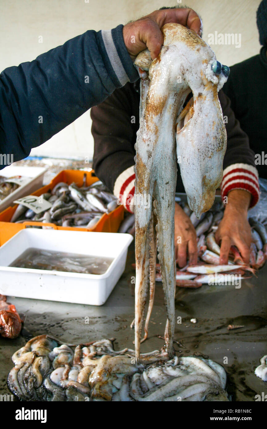 Fisherman detiene un grosso polpo in un mercato del pesce, vari tipi di pesci, pesca Foto Stock