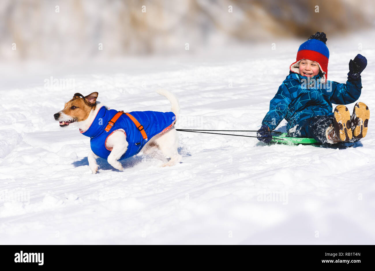 Cane slittino felice ragazzo su terreni scivolosi toboga in discesa Foto Stock
