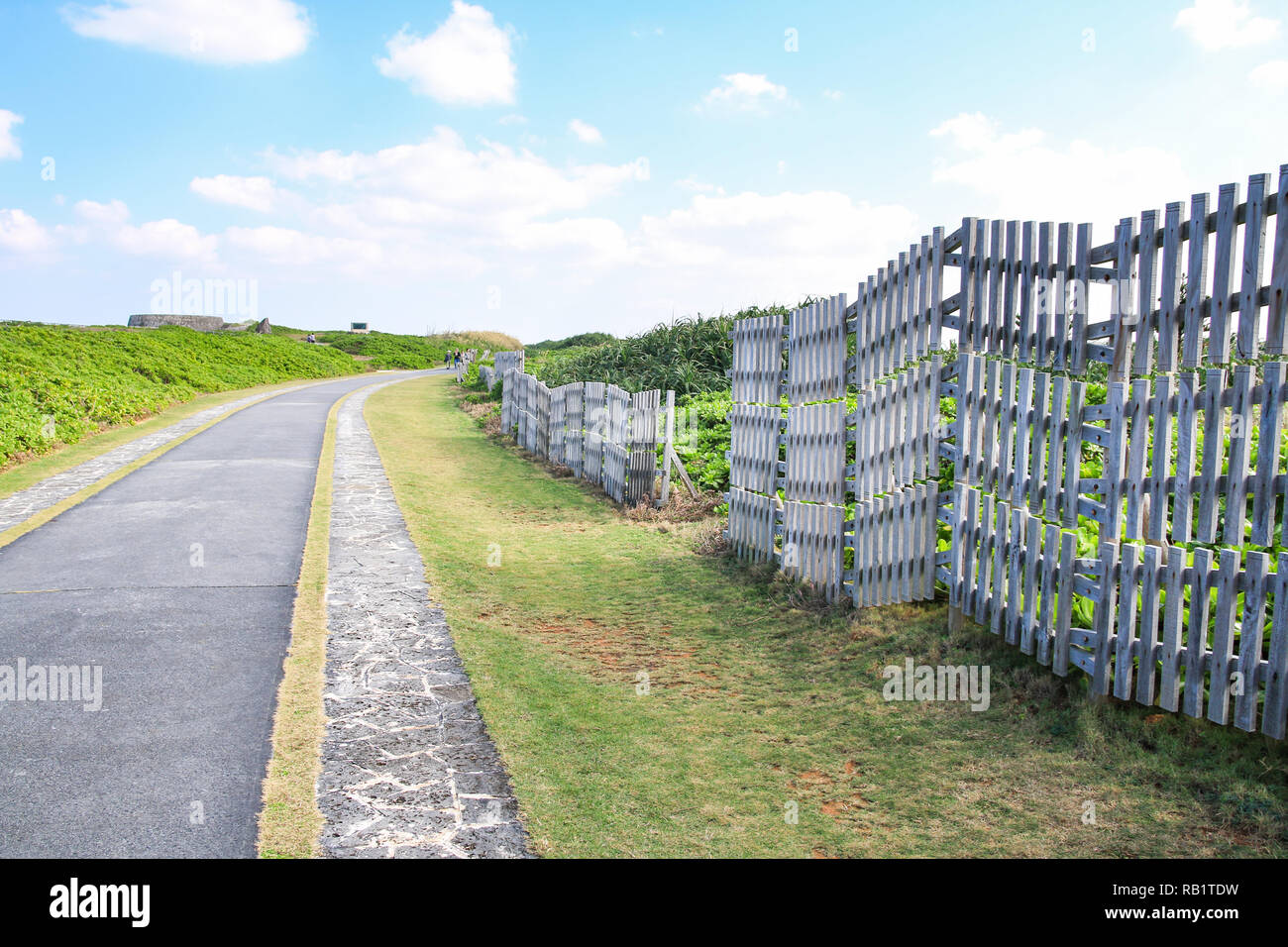 Piccolo sentiero nel Parco di Cape Zanpa a Okinawa, Giappone Foto Stock