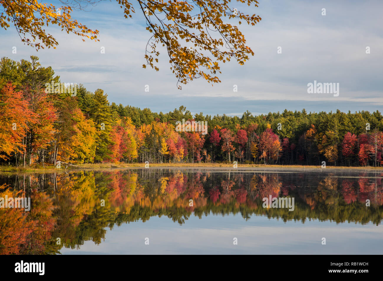 Beaver Pond, Birch Hill Wildlife Management Area, Royalston, MA Foto Stock