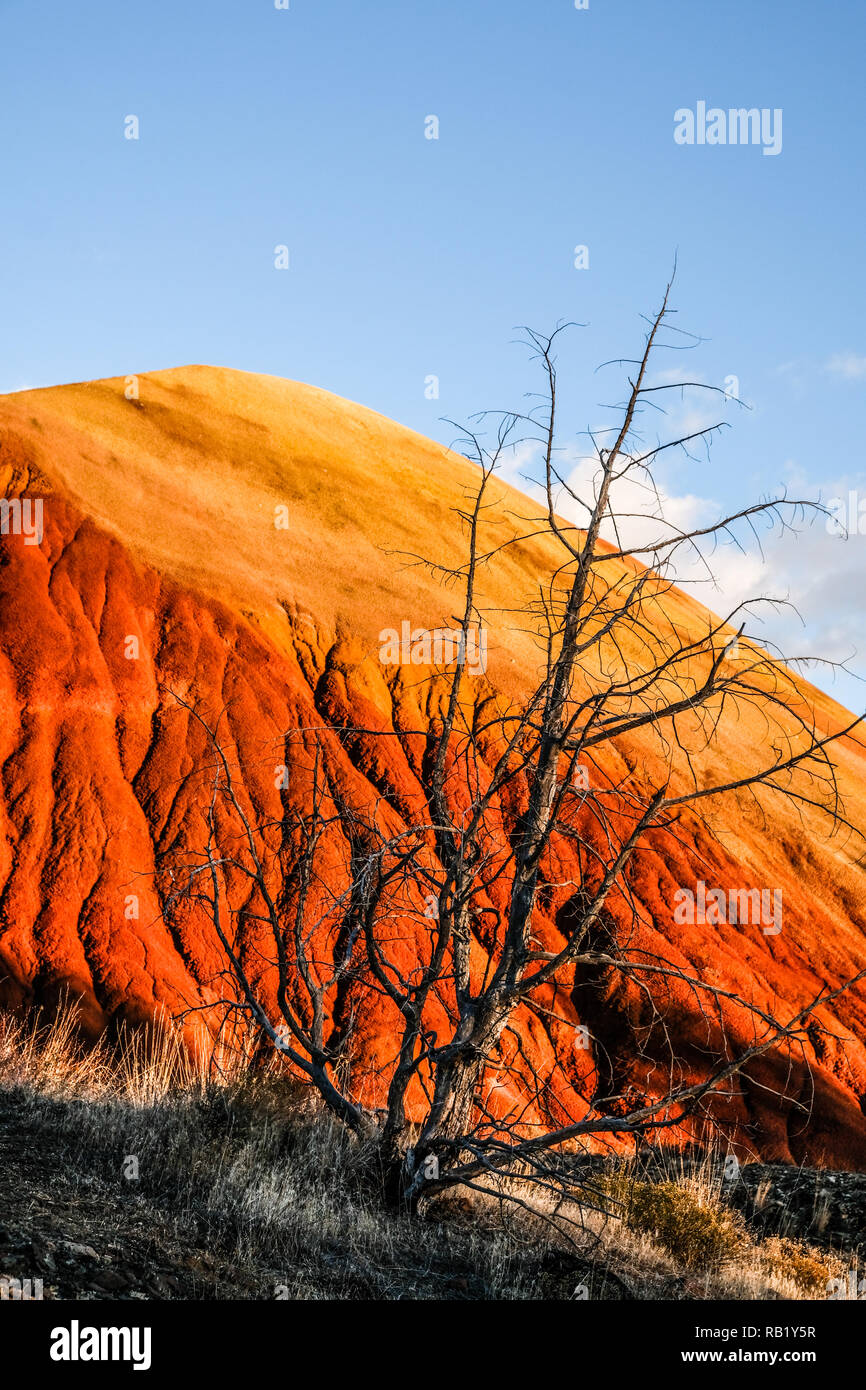 Golden e Red Red Hill a colline dipinte a John Day Fossil Foto Stock