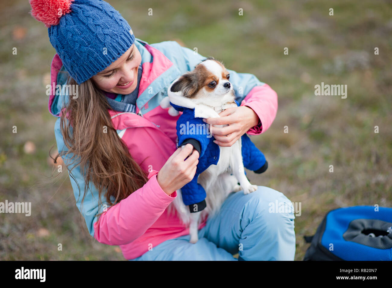 Felice bella giovane donna vestire il suo piccolo cane chihuahua in abiti di origine animale Foto Stock