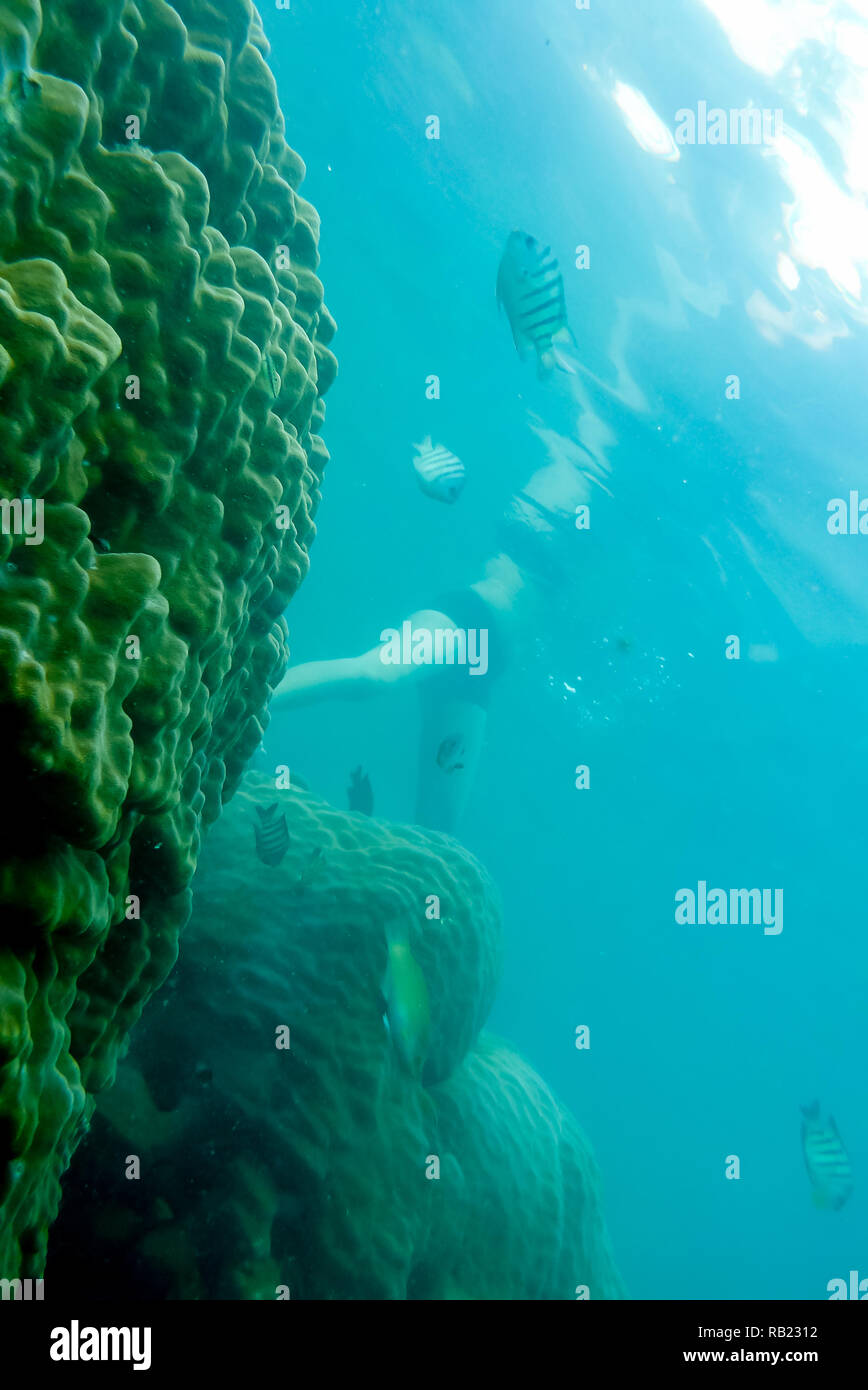 Vista subacquea di donna nuoto oltre il reef, acque tropicali Foto Stock