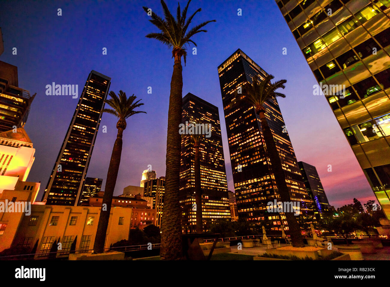 Commerciale e ufficio business grattacieli con struttura ad albero di palme nel cielo di Los Angeles. Urbano vista notturna. Los Angeles Public Library e Bunker Hill passi area. In California, negli Stati Uniti. Foto Stock