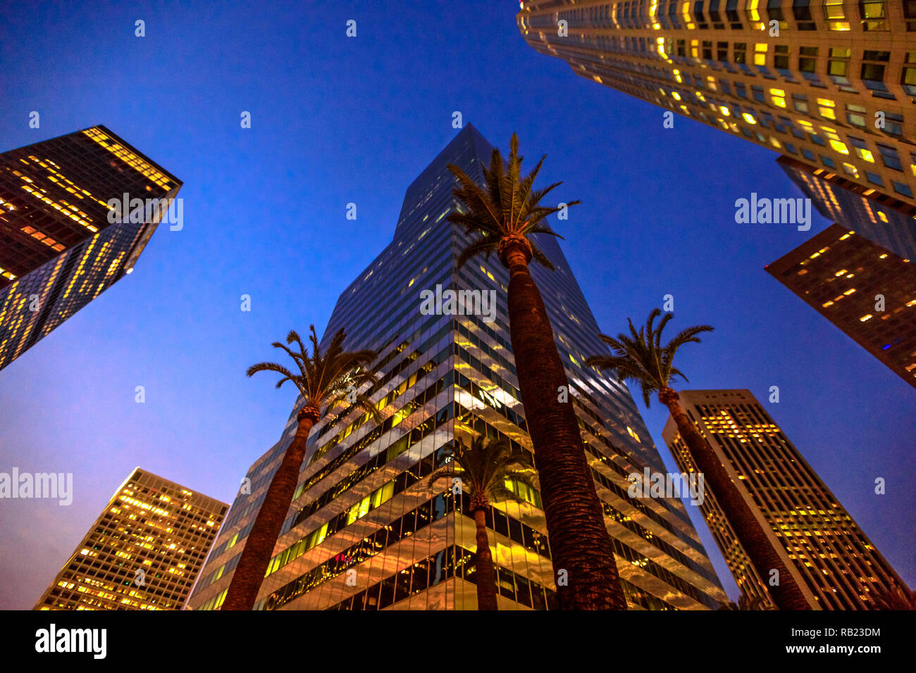 Vista dal basso del business e commerciale di grattacieli di uffici con albero di palme nel cielo di Los Angeles. Paesaggio urbano, Vista notte. In California, negli Stati Uniti. Foto Stock