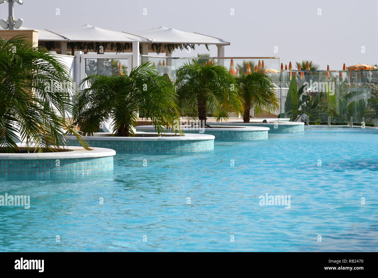 Una bellissima piscina con palme all'aperto Foto Stock