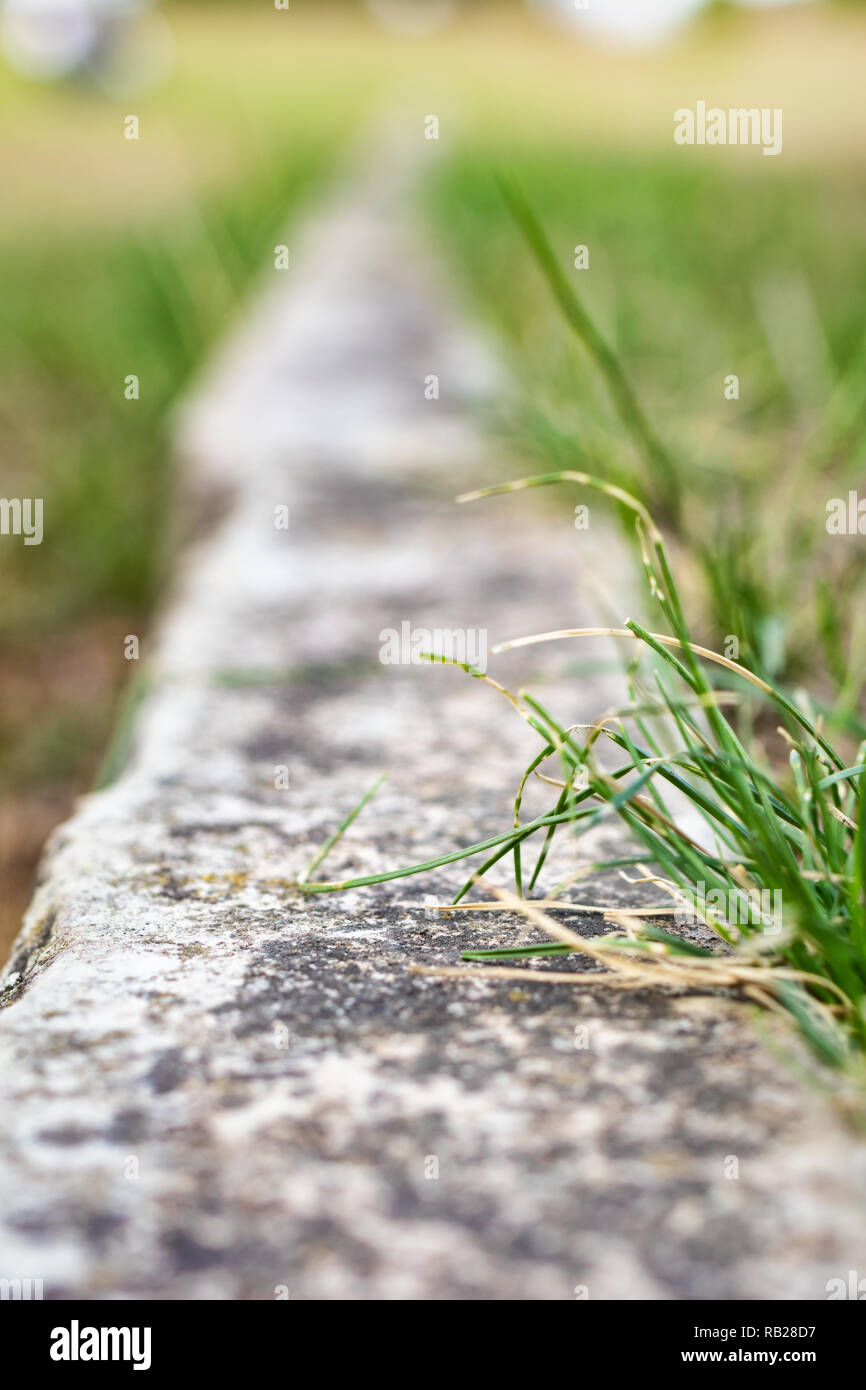 Linea di confine nel manto erboso realizzato di calcare Foto Stock