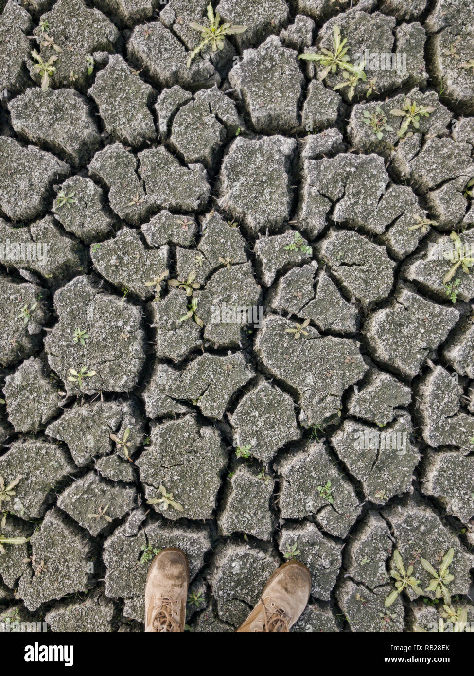 Crepe di fango a causa della siccità Foto Stock