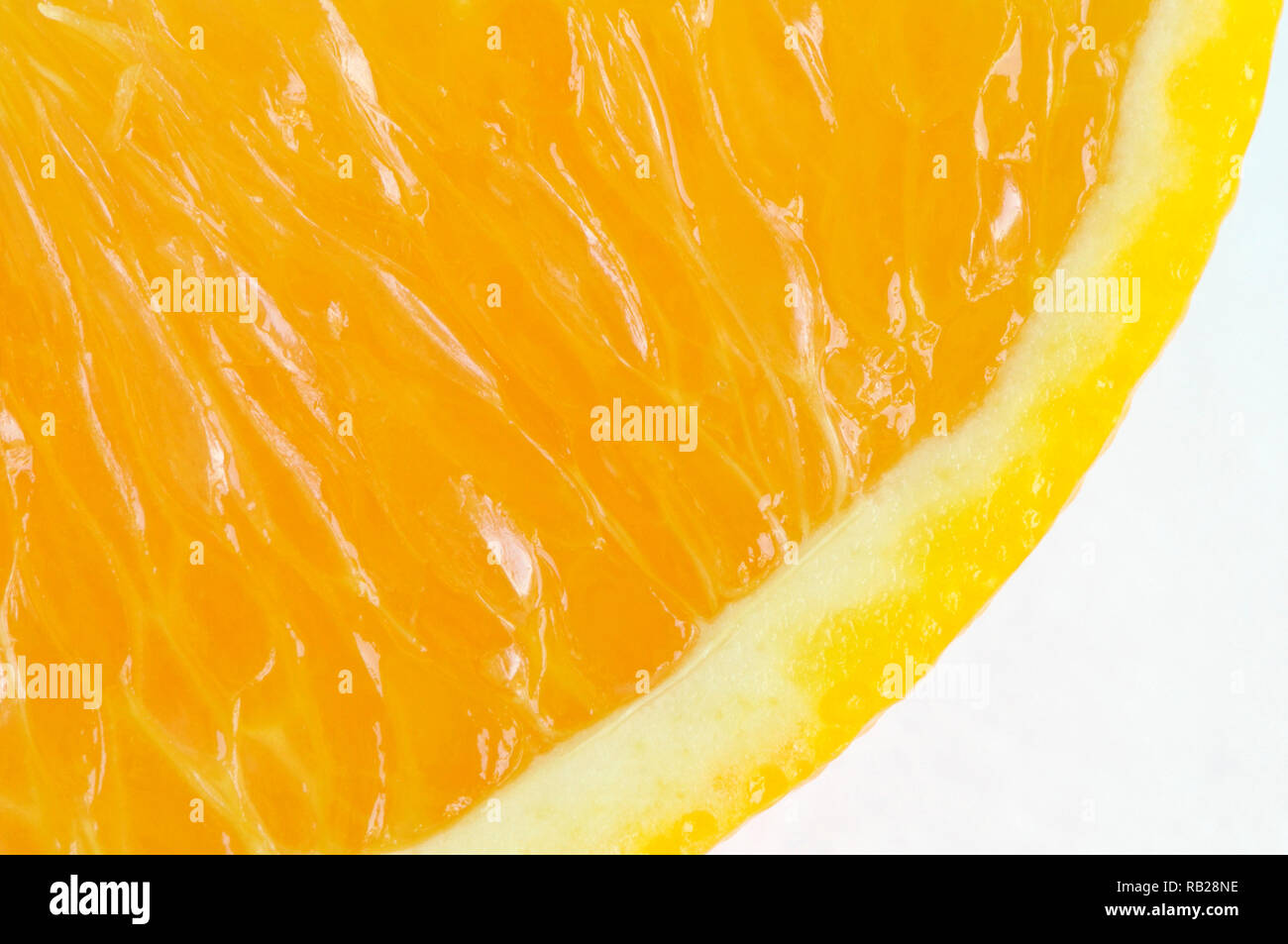 Una sezione trasversale parziale di una arancia navel slice (Citrus x sinensis) su bianco. Foto Stock