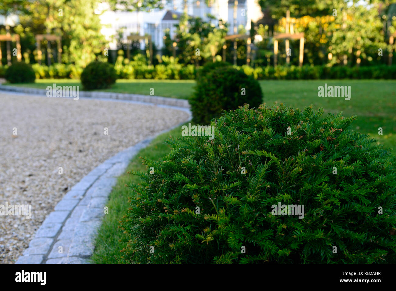 Bordatura in pietra,refilato,refilato,prato,leggi,l'erba,yew ball,sfere,garden design,feature,paesaggio duro,serpentina,piombo,portando,conduce l'occhio,RM Floral Foto Stock