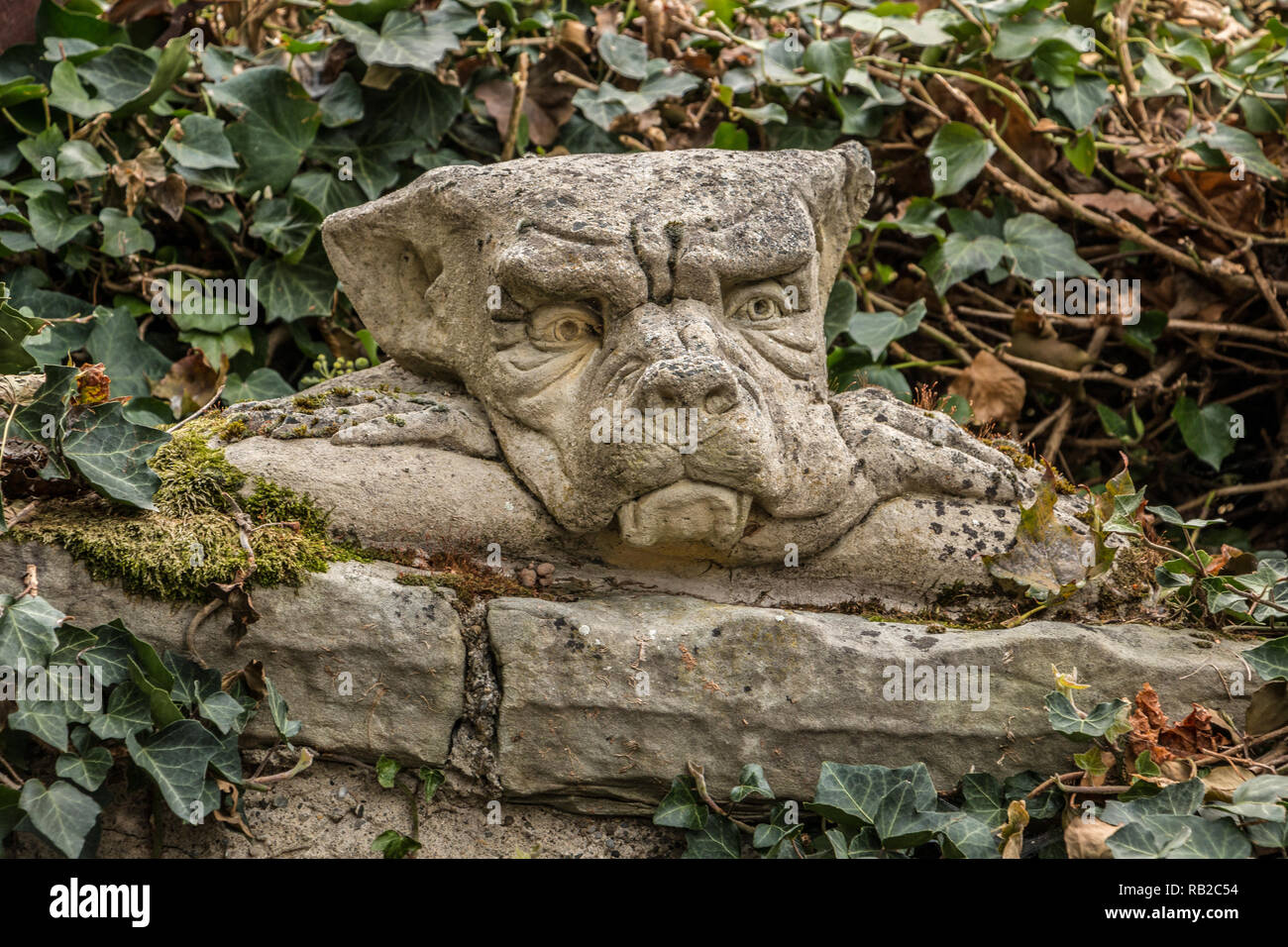 Piccolo folletto della testa su una parete di pietra come fuori di una favola Foto Stock