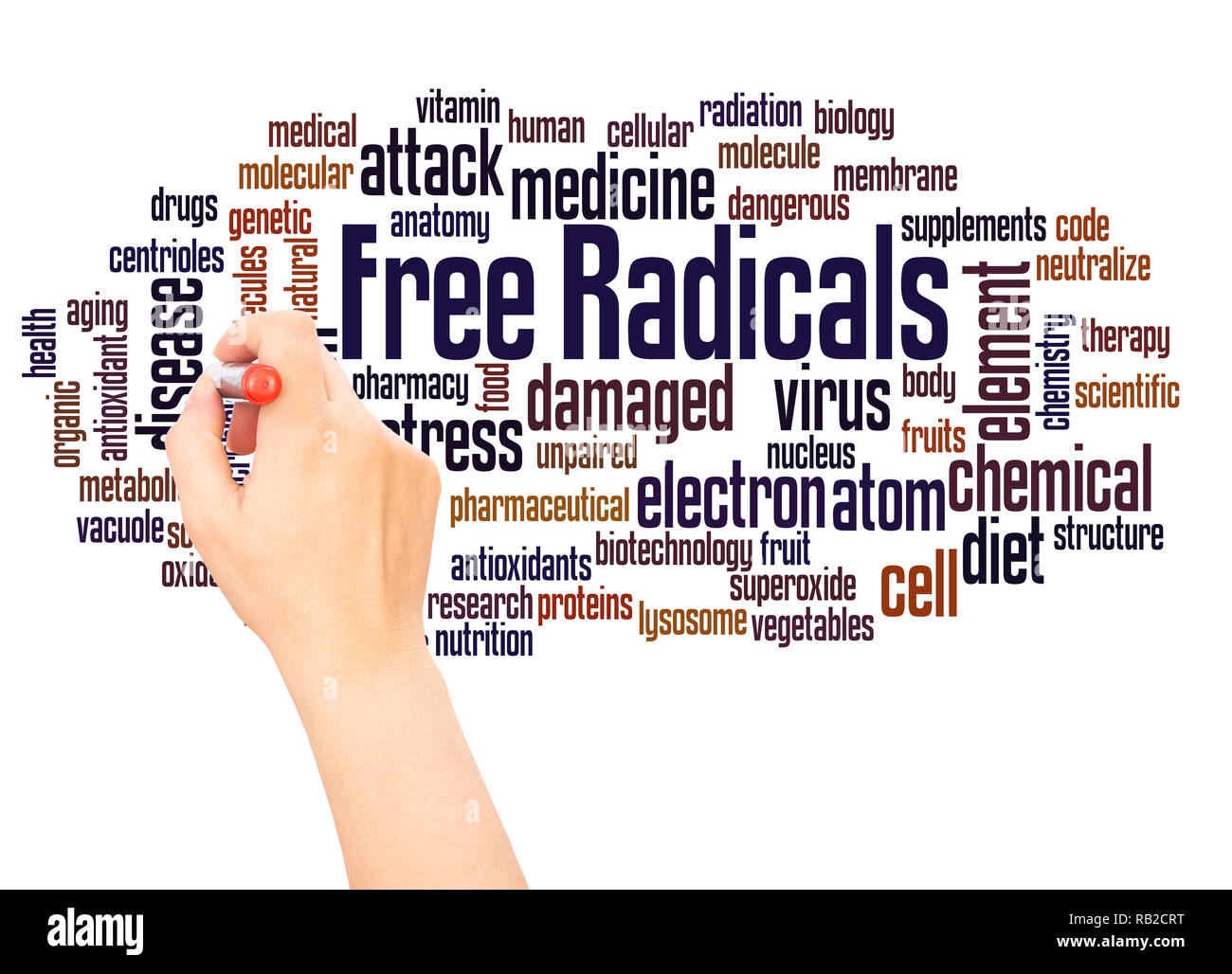I radicali liberi word cloud la scrittura a mano concetto su sfondo bianco. Foto Stock