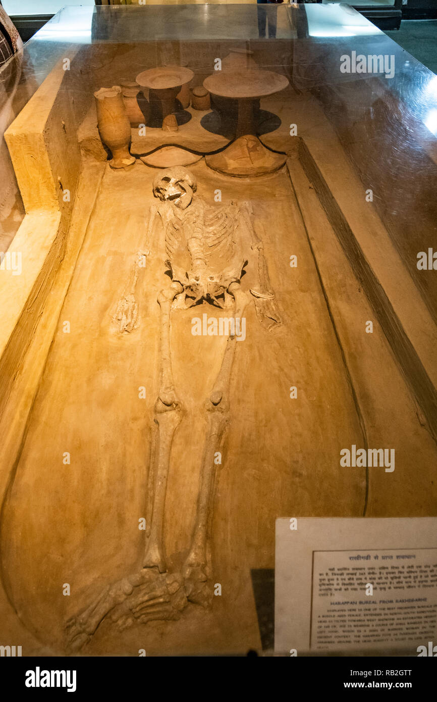 Scheletro femminile (165 cms) dalla civiltà harappan Museo Nazionale, New Delhi, India. Foto Stock