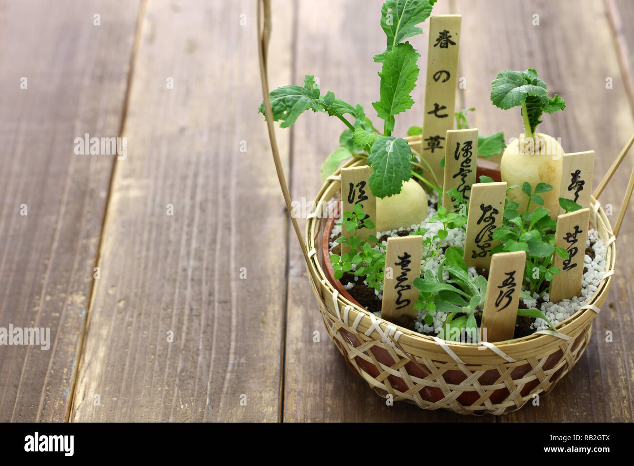 Harunonanakusa, giapponese di sette erbe in primavera(daikon ravanello,rapa,nipplewort,chickweed,cudweed,Oenanthe javanica,pastori borsa) Foto Stock
