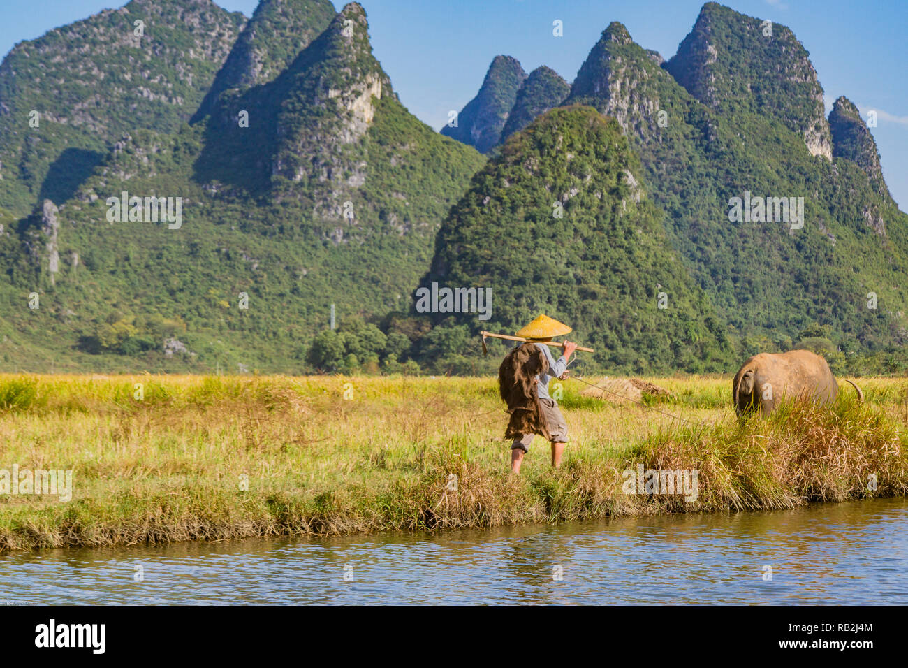 L'agricoltore cinese con il bufalo d'acqua camminando accanto al fiume in una pittoresca vallata circondata da ambiente carsico di colline in Huixian, Cina. Foto Stock