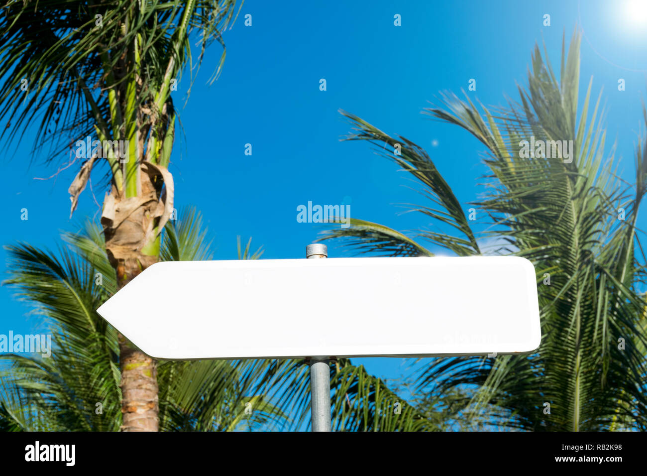 Freccia vuota segno nella foresta tropicale con spazio per testo, spazio vuoto Foto Stock