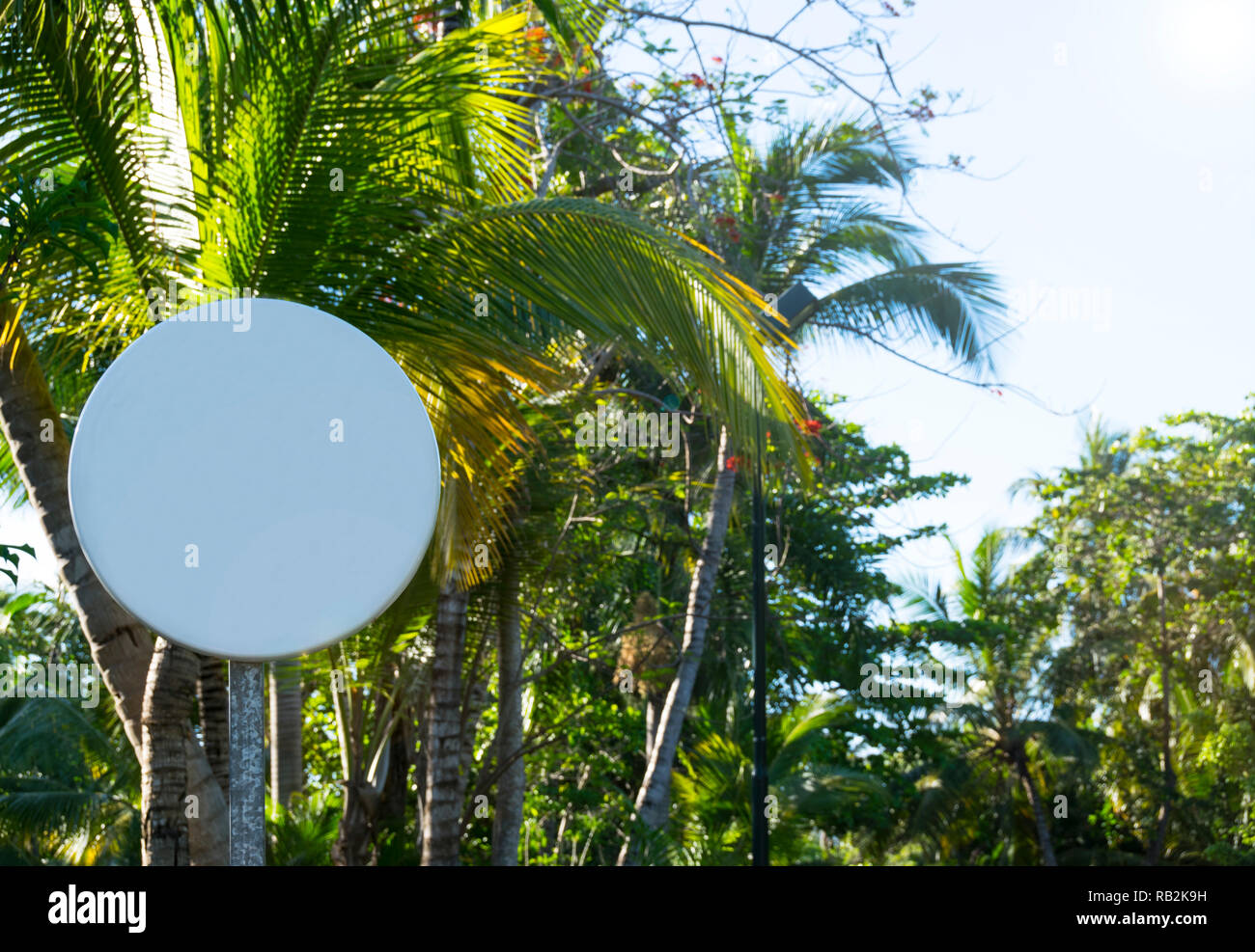 Vuoto segno rotondo nella foresta tropicale con spazio per testo, spazio vuoto Foto Stock