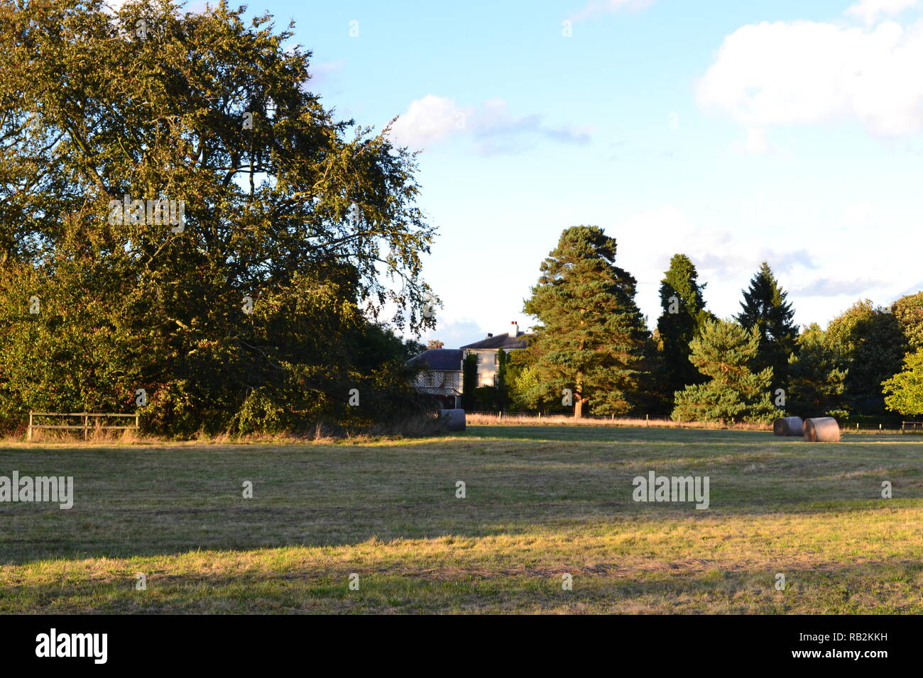 Un prato erboso dietro Down House, casa di Charles Darwin, gestito dalla tradizione inglese. In Downe Village, vicino a Biggin Hill, Bromley, Kent, Inghilterra. Autunno Foto Stock