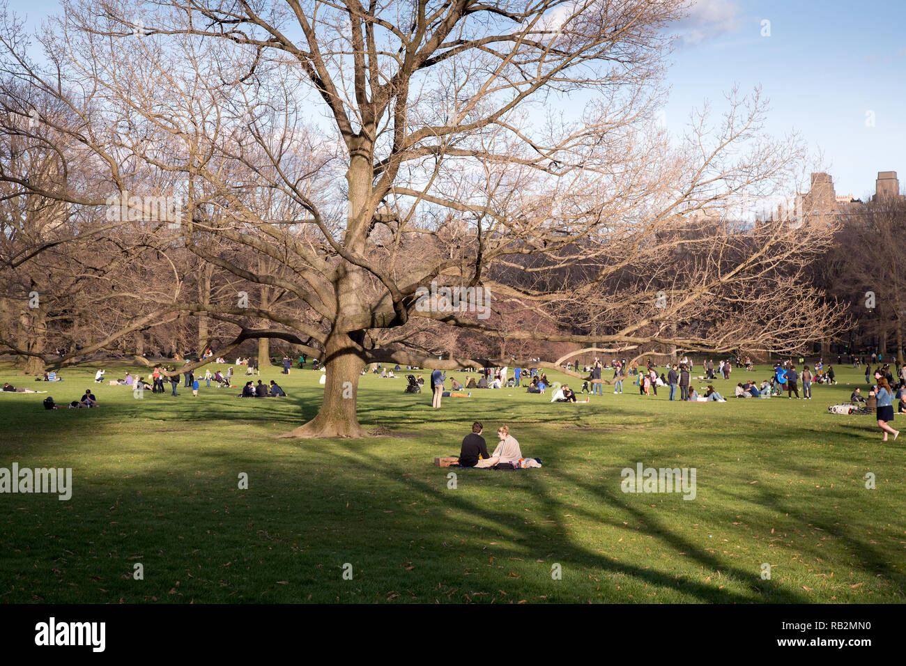 Persone Che Godono Central Park, New York. Foto Stock