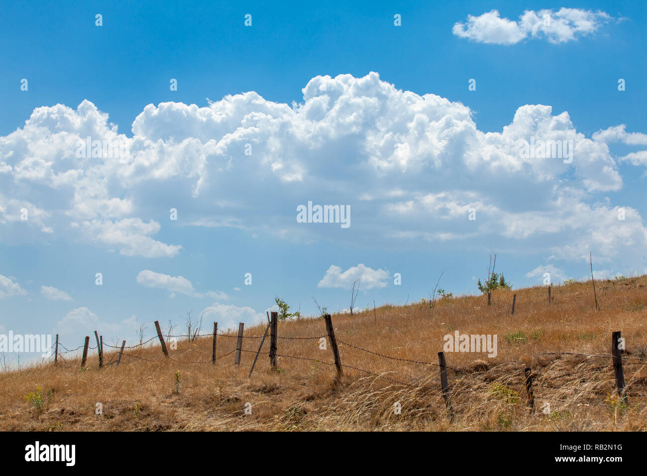 Filo spinato Fenceline sul maso con un cielo blu Foto Stock