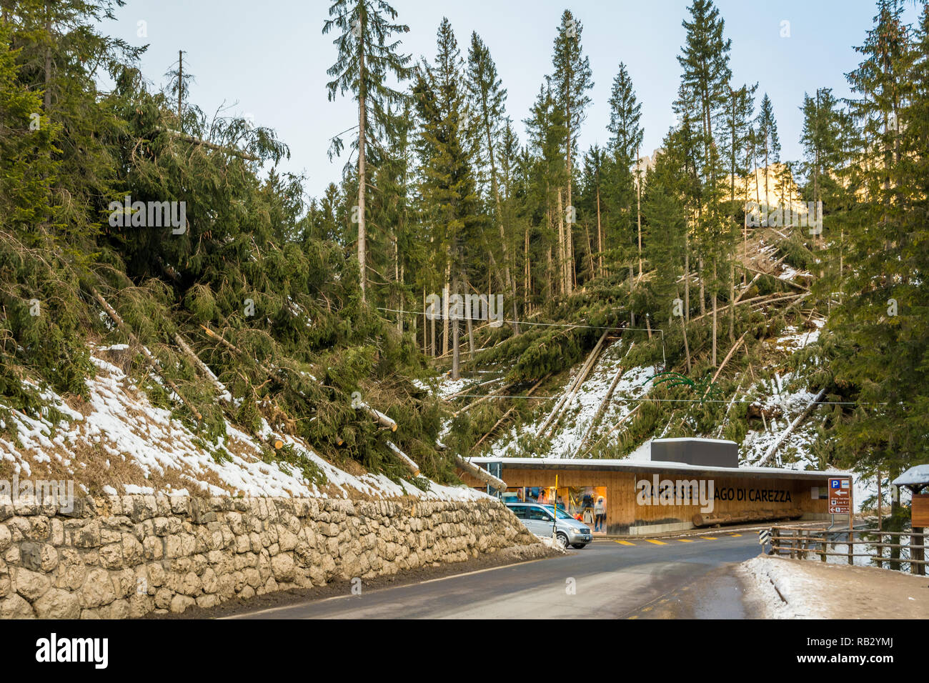 Tempesta vaia nel nord est italia immagini e fotografie stock ad alta