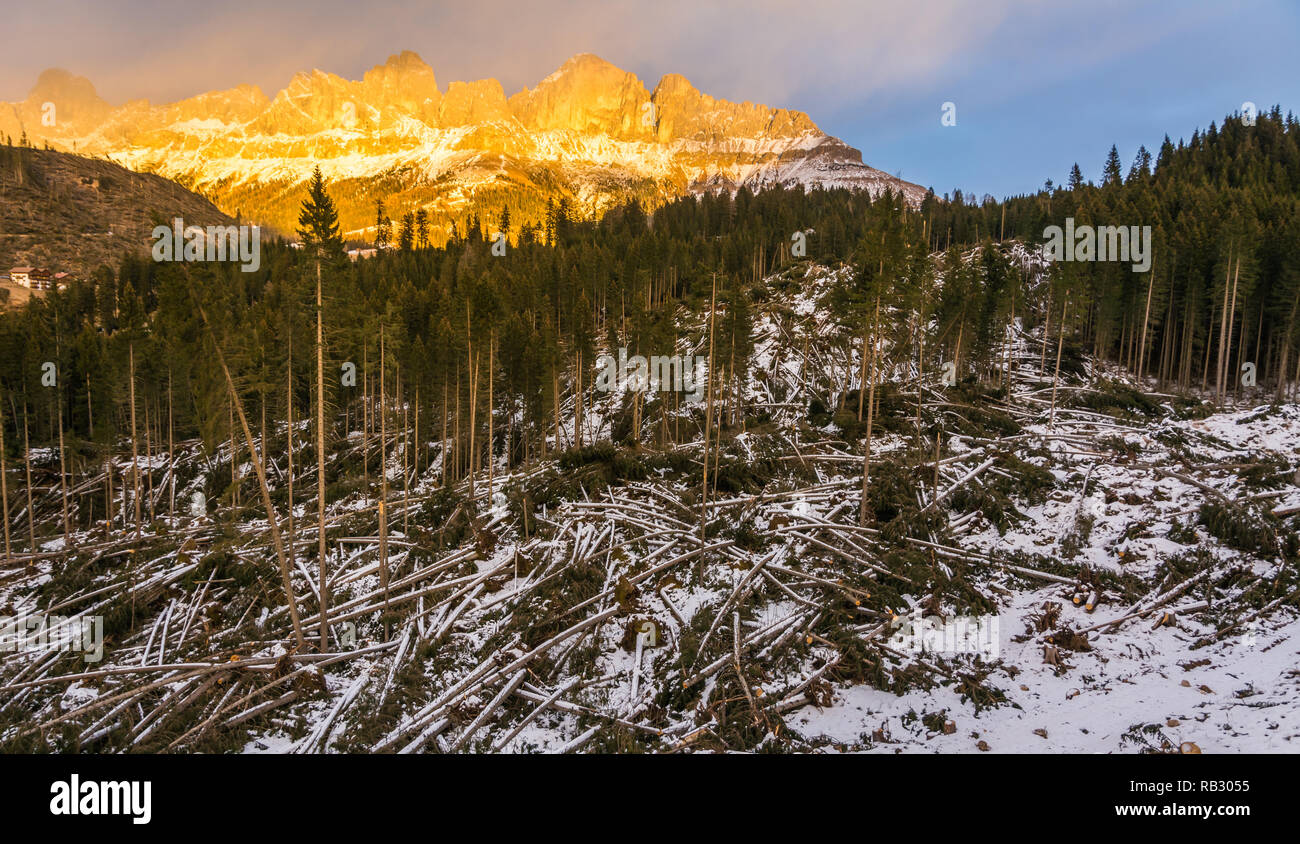 Traversata alpina del ciclone Adrian (noto anche con il nome di Vaia) la tempesta Vaia ha causato notevoli danni alle foreste italiane, soprattutto nel nord-est d'Italia. Ottobre 2018 Foto Stock