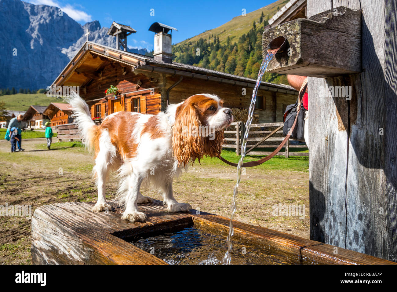 Eng, Engalm, Alm, Austria Foto Stock