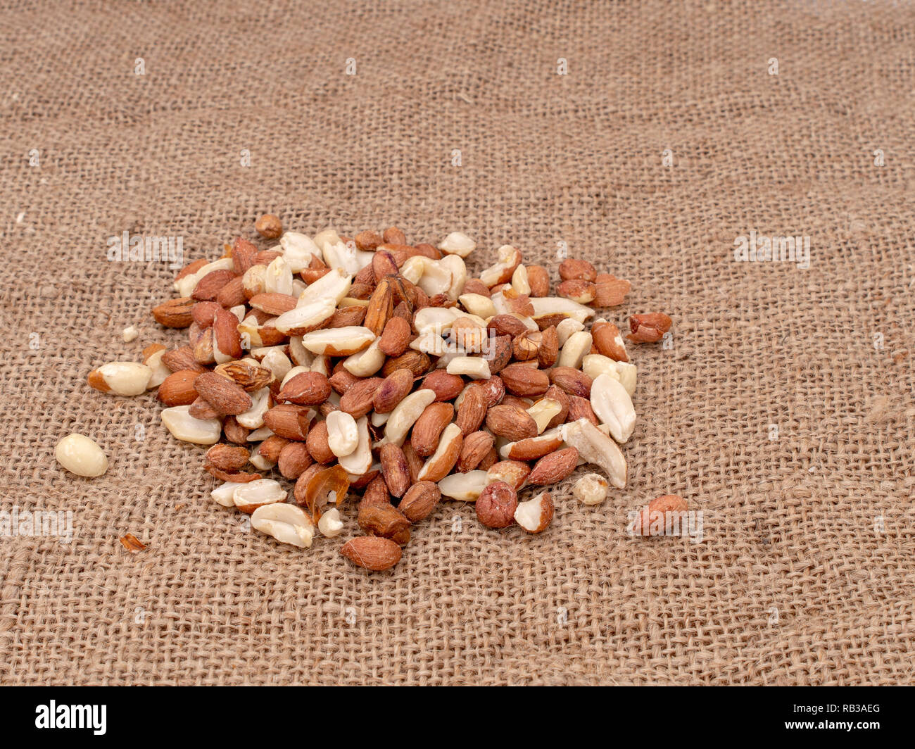 Wild Bird food - arachidi non salato, su hessian. Aiuto alimentare giardino degli uccelli selvatici in inverno. Foto Stock