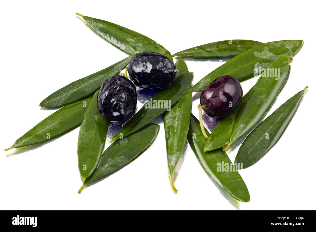 Olive e foglie con olio lucido Foto Stock