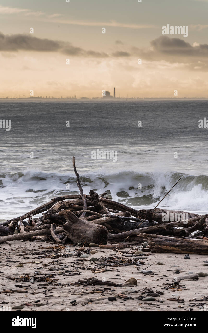 Tangled pila di driftwood bastoni e registri lavato fino dalla marea sfuggente. Foto Stock
